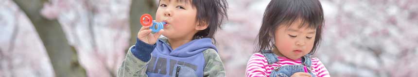 越谷相続・遺言・相続放棄（せんげん台駅１分／土日祝営業）